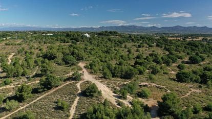 Vista aérea de la zona del sector 31/32 Godella, Valencia.