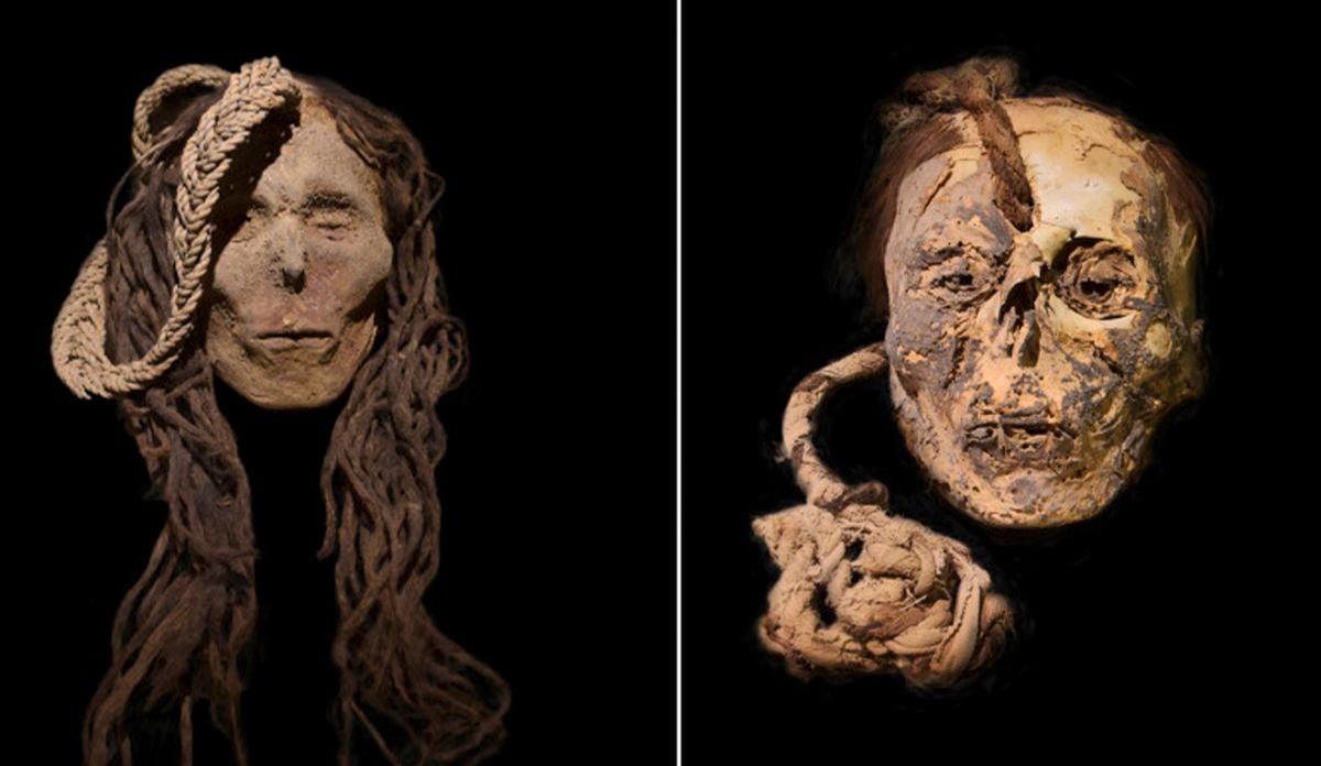 Exploring the Pre-Inca Civilization’s Drug Use: Discovering Ayahuasca Residues in Hair and Routes of Psychotropic Plants | International SEO Title