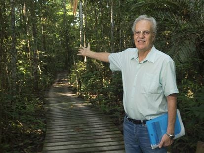 Carlos Nobre en la reserva ecológica de Cuieiras, a 100 kilómetros de Manaus.