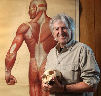 The paleontologist Juan Luis Arsuaga, in his office at the Center for Human Evolution and Behavior, in Madrid.