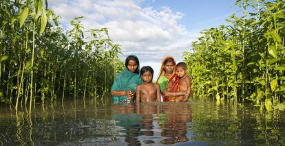 Inundaciones en Bangladés.