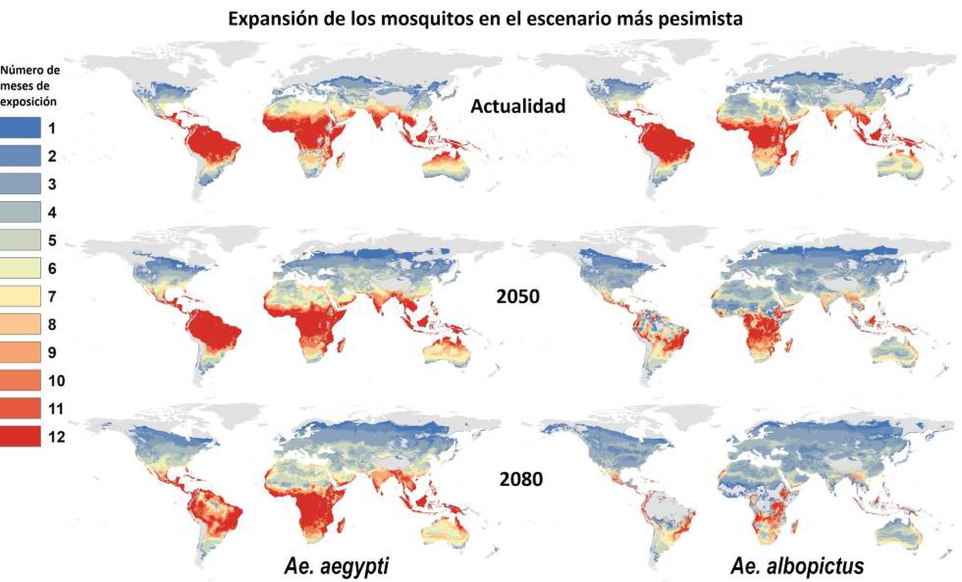 Así Avanzarán Los Mosquitos Del Dengue Y Del Zika Por El Cambio ...