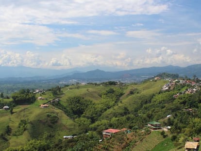 Paisaje cafetero en Colombia.