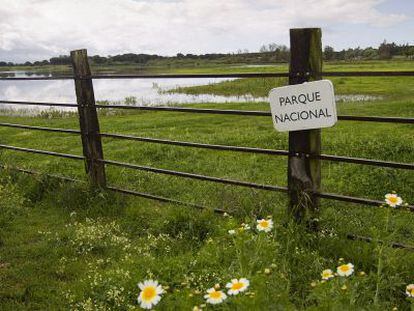 Parque Nacional de Do&ntilde;ana (zona de Huelva), en abril de 2013.