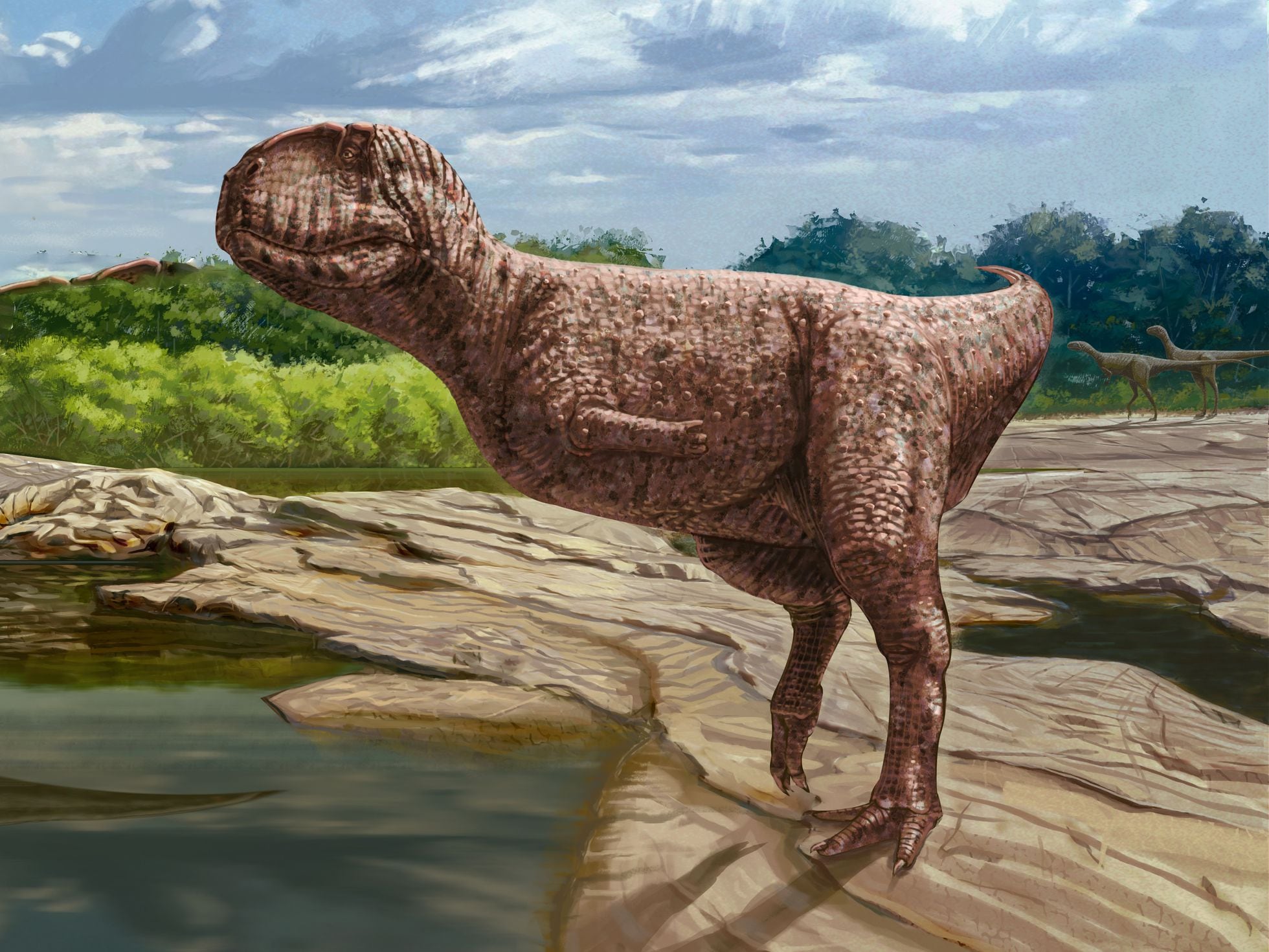 Bahariya: Hallado en Egipto el fósil de un gran dinosaurio “con cara de  bulldog” de hace 98 millones de años | Ciencia | EL PAÍS