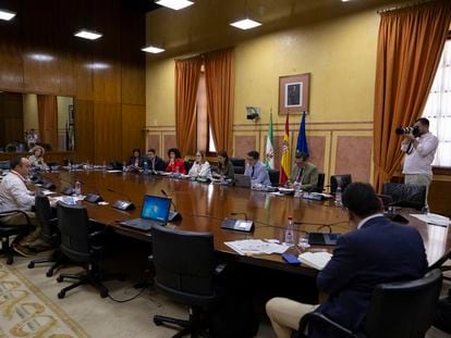 Una de las comparecencias en la Comisión de Fomento del Parlamento andaluz sobre la ley de ampliación de regadíos en Doñana.