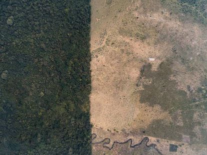 Deforestación en la selva Lacandona en el municipio de Marqués de Comillas, Chiapas (México), en octubre de 2019.