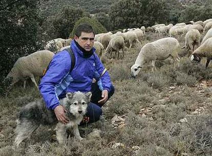 Joaquín Martín y su perro pastor, con su menguado rebaño de ovejas.