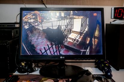 La pantalla que reproduce las imágenes de las seis cámaras que instaló Doña Belén Alzate, tras el asesinato de su hijo, de 31 años.
