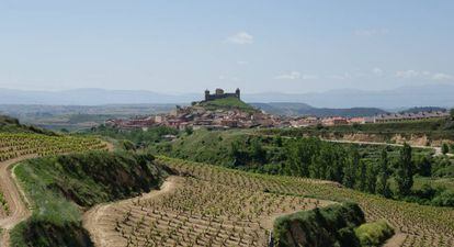 Viñedos de la Bodega Carlos Moro en San Vicente de la Sonsierra, con el municipio al fondo.