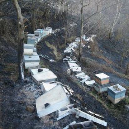 Colmenas quemadas en el incendio de El Vallín, en Asturias.