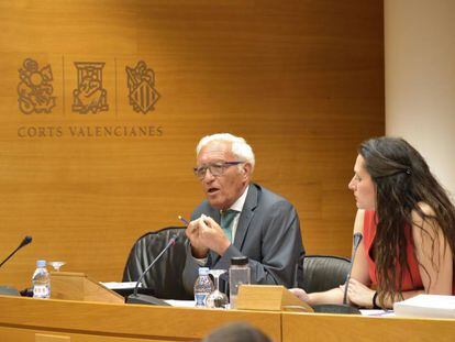 Rafael Vicente Queralt, ex S&iacute;ndic de Comptes, en la comisi&oacute;n de investigaci&oacute;n de Ciegsa de las Cortes Valencianas.