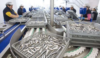 Las empresas de conservas han encontrado un nicho de mercado en los productos exclusivos.
