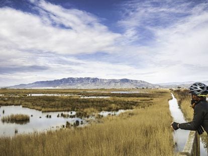 Una ciclista en el Delta del Ebro, en Tarragona, con la sierra del Montsià al fondo.