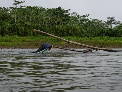 Tent stuck in a tree in the Tuquesa River, near the hamlet of Bajo Chiquito. Many migrants have lost their lives in the floods of this river during the Darién crossing.