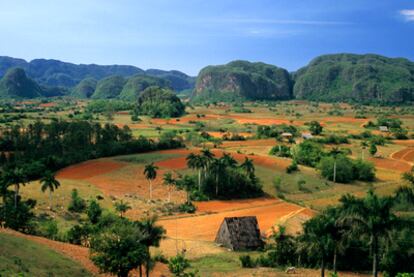 Panorámica del valle de Viñales (a 180 kilómetros de La Habana), patrimonio mundial y donde destacan las elevaciones kársticas llamadas mogotes.