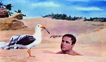 Marlon Brando en Dos seductores observa a una gaviota, mientras se pregunta cómo puede ser que se durmiera en una obra de Tennessee Williams y se despertara ahí.