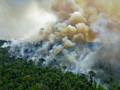 En una imagen de archivo de agosto 2020, una vista aérea del incendio en un área protegida del Amazonas, en el Estado de Pará, Brazil.