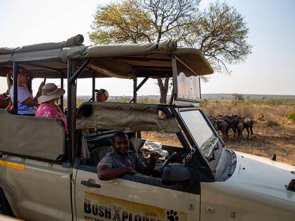 Un grupo de turistas observa una manada de ñus en el parque nacional Kruger, en Sudáfrica.
