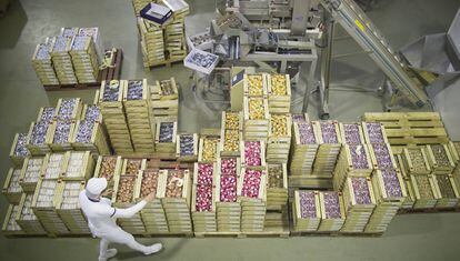 Una trabajadora de la fábrica de elaboración de dulces 'Aromas de Medina', junto a cajas de mantecados.