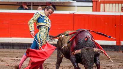 Damián Castaño, uno de los triunfadores de la feria, ante uno de los toros de Dolores Aguirre.