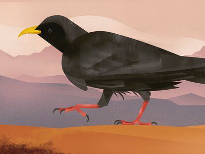 Ilustración de interior del libro 'El mundo de las montañas', de Dieter Braun. EDITORIAL NORDICA