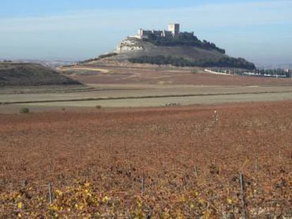 Desde los vi&ntilde;edos de Pago de Carraovejas se puede ver el castillo de Pe&ntilde;afiel (Valladolid), que domina el valle del Duero. 