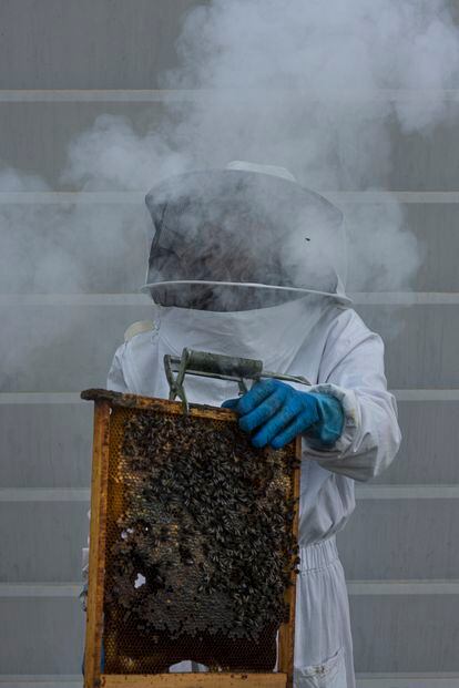 Desde niña Martínez ha tenido contacto con la apicultura gracias a las colmenas familiares en Alhama de Murcia, su lugar natal. 