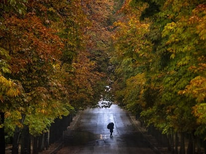 Una persona pasea bajo la lluvia en otoño.