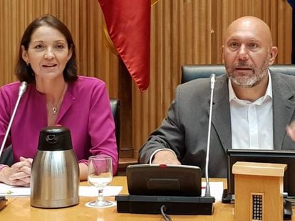 La ministra Reyes Maroto, en la comisión de Industria, Comercio y Turismo del Congreso.