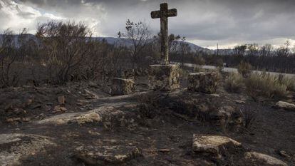 Terreno devastado tras el gran incendio de Cualedro (Ourense) en 2015.