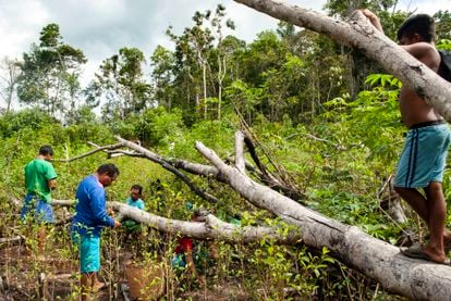 Habitantes indígenas del Pirá-Paraná trabajan en un terreno en el Macroterritorio de Yurupari.