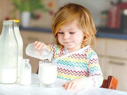 La leche es un alimento completo porque aporta proteínas, calcio, fósforo, carbohidratos, vitaminas A, B y D y minerales.