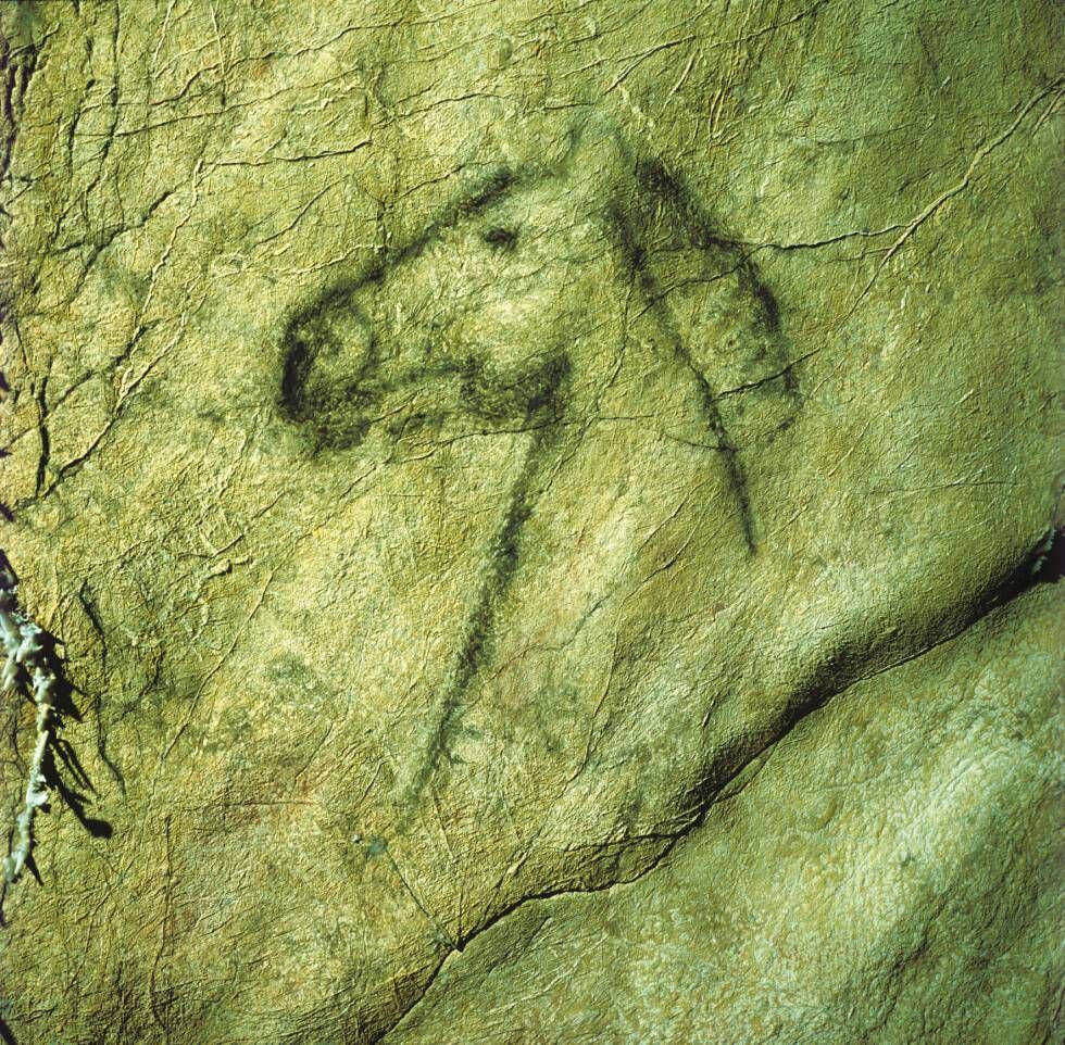 Figura zoomorfa en la cueva Tito Bustillo.