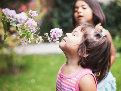La hipersensibilidad permite a los niños altamente sensibles disfrutar de la belleza, la bondad o la naturaleza.