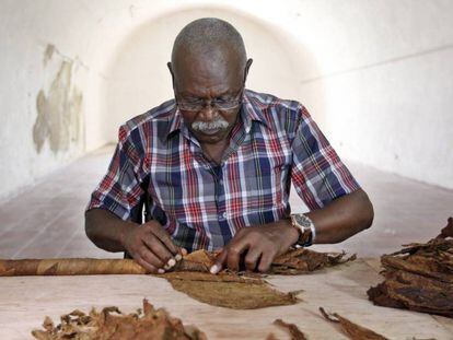 Jos&eacute; Castelar confeccionando el habano de 90 metros.