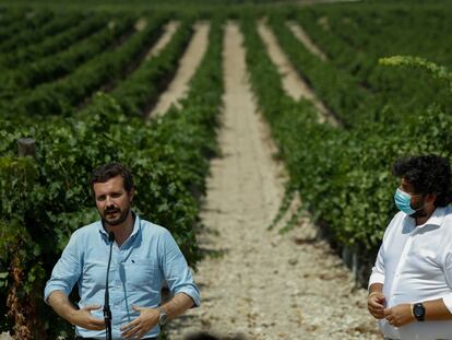 Pablo Casado, este lunes, durante una visita a unas bodegas de Jumilla (Murcia), junto al presidente autonómico, Fernando López Miras.