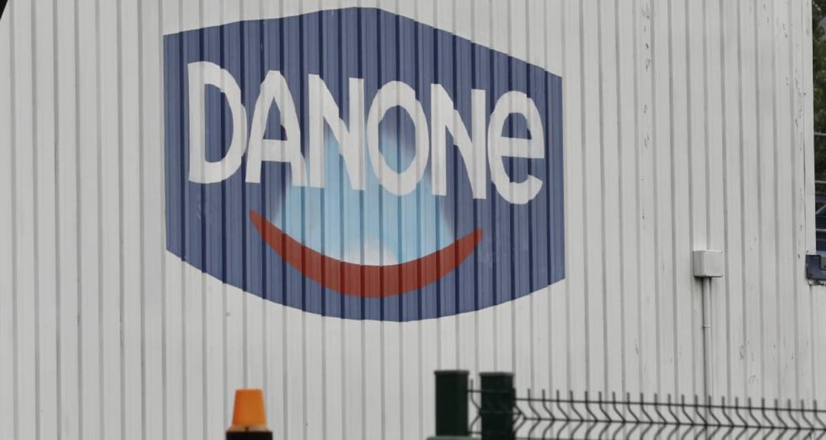 Danone gana 10,8 millones en España, un 37% menos | Economía