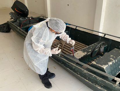 Una forense toma, este jueves en Manaos, muestras de los restos de sangre hallados en la lancha del único detenido por la desaparición. 