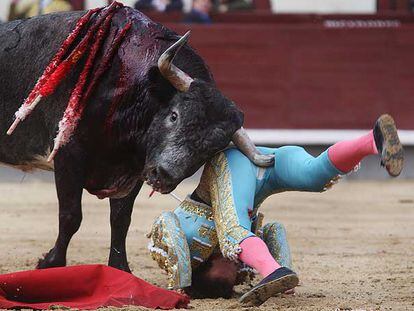 Frascuelo es corneado en el muslo derecho por su primer toro en la corrida de ayer en Las Ventas.
