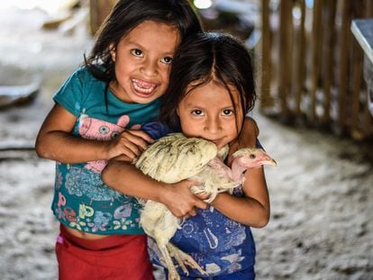 Unas niñas de la comunidad del Corredor Seco de Guatemala con una gallina peluca.