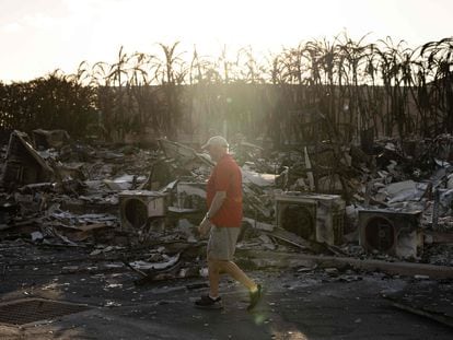Un hombre camina sobre los escombros producidos por los incendios en Hawái, el sábado 12 de agosto.