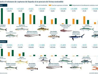 Cómo serían las capturas españolas con sistemas de pesca sostenible