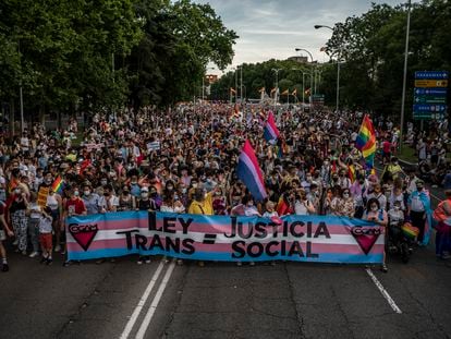Manifestación del Orgullo LGTBI en Madrid.
