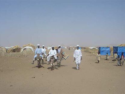 Un grupo de desplazados del campo de Shangil Tobaya se dirige con sus burros a un punto de reparto de agua.