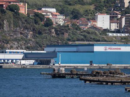 Pescanova se declaró en concurso de acreedores en 2013. En la imagen, planta en Redondela (Galicia). 