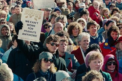 Profesores de Seattle (Washington) protestan en contra de los salarios bajos y otras condiciones laborales, en 1990.