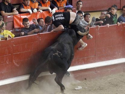 Un toro embiste a un joven en las fiestas patronales de Leganés (Madrid).