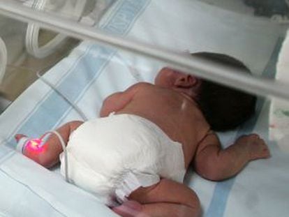 Unidad de Neonatología del Hospital de La Paz de Madrid.