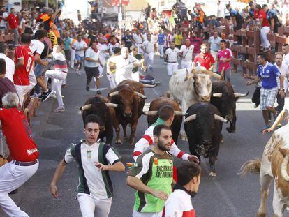 Los encierros de las fiestas patronales de San Sebastia&aacute; de los Reyes en 2016.